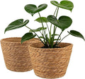 2PCS Seagrass Plant Basket for Indoor and Outdoor,Wicker Large Planter Basket for 6 inch Pot,Rattan Plant Pot Covers for Potted Plants,Woven Storage Baskets for Rustic Boho Farmhouse Decor
