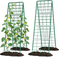 2 Pack Cucumber Trellis, 71" High Foldable A-Frame Garden Trellis for Raised Bed Garden Grow Support with Plant Support Clips Ties for Cucumber,Tomato, Climbing Plants and Flowers