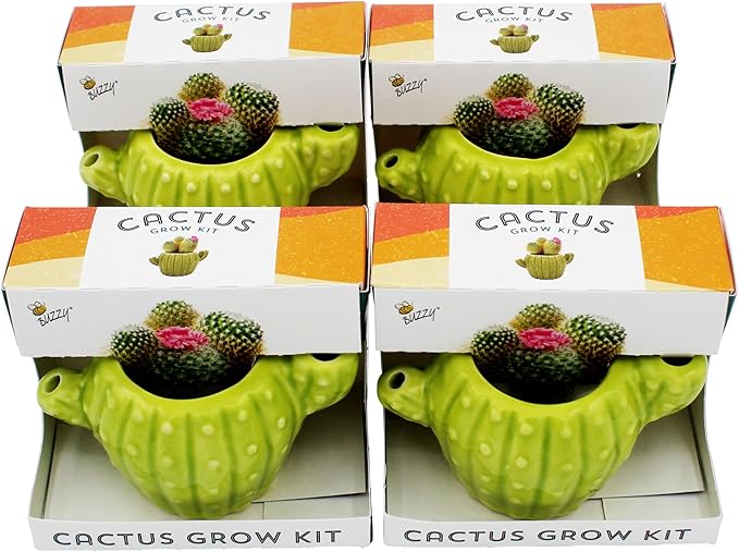 BUZZY Seeds 4pk Mini Cactus Grow Kit with Ceramic Planter, Succulent Seeds, Growing Medium, Easy Instructions, Indoor Gardening Gift for Beginners, Birthdays, Housewarming and Home or Office Decor