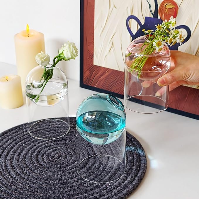 3-Pack Glass Hydroponics Vase Set | Unique Plant Propagation Station with Removable Base, Cute Flower Vase & Mini Terrarium for Plants