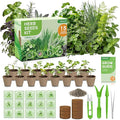 Herb Garden Starter Kit – Fruivity 12800+ 15 in 1 Herb Heirloom Seed Kits for Indoor/Outdoor Planting | Herb Indoor Garden Kit Starter - Complete Herb Garden Starter Set with Gift Packaging for Family