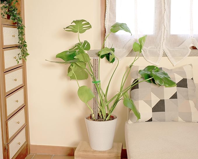 9 PCS Stackable Transparent Plastic Moss Pole for Plants Monstera, Plant Support for Indoor Plants, Indoor Plant Accessories Support Stakes, Plant Stakes for Indoor Plants Plant Pots