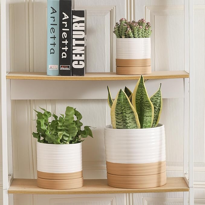 HASENSE Pots for Plants, 8+6+4.6 Inch Ceramic Plant Pots Indoors with Drainage Hole and Tray, White Planters Set for Outdoor Indoor Plants, Farmhouse Home and Office Decor, Set of 3