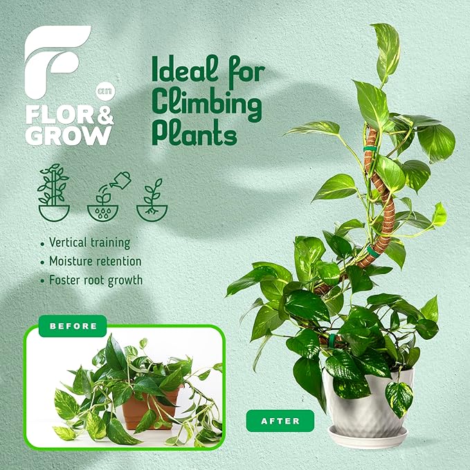 2 Pack 28" Sturdy Easy to Use Moss Pole Monstera Plant Support Stakes - Plant Stakes for Indoor Plants, Moss Poles for Climbing Plants, Tutores para Plantas Trepadoras Monstera Support Sticks