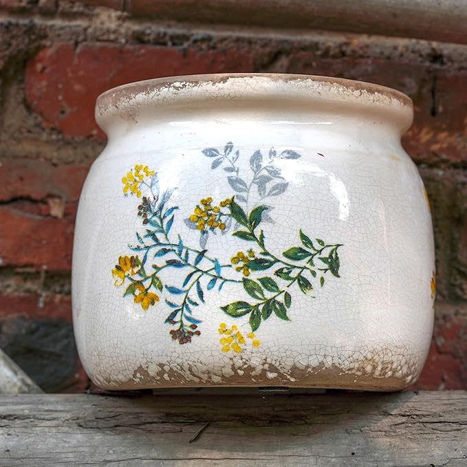 Dosayes Vintage Ceramic Ice Crack Flower Pot with Drainage Holes, Country Rustic Planters for Indoor and Outdoor,Tuscan Decor,Home,Living Room, Garden Decor, Gardening Gift (English)