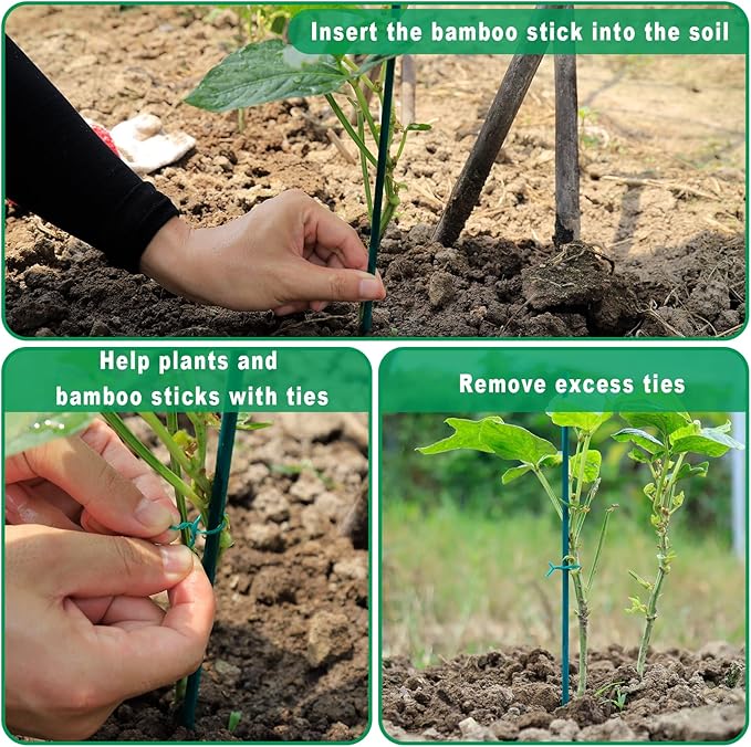 PERSZEN Plant Stakes 50 PCS Garden Green Bamboo Sticks Plant Support Stakes for Indoor and Outdoor Plants, Wooden Sign Posting Flower Pot Garden Stakes(15" 25pcs+17" 25pcs)