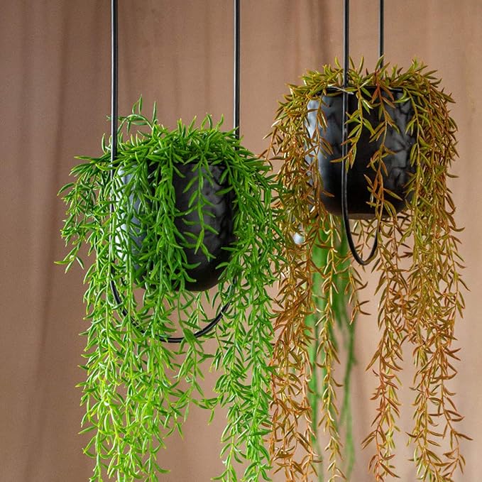 RISEON Boho Black Metal Plant Hanger,Metal Wall and Ceiling Hanging Planter, Modern Planter, Mid Century Flower Pot Plant Holder, Minimalist Planter for Indoor Outdoor Home Decor