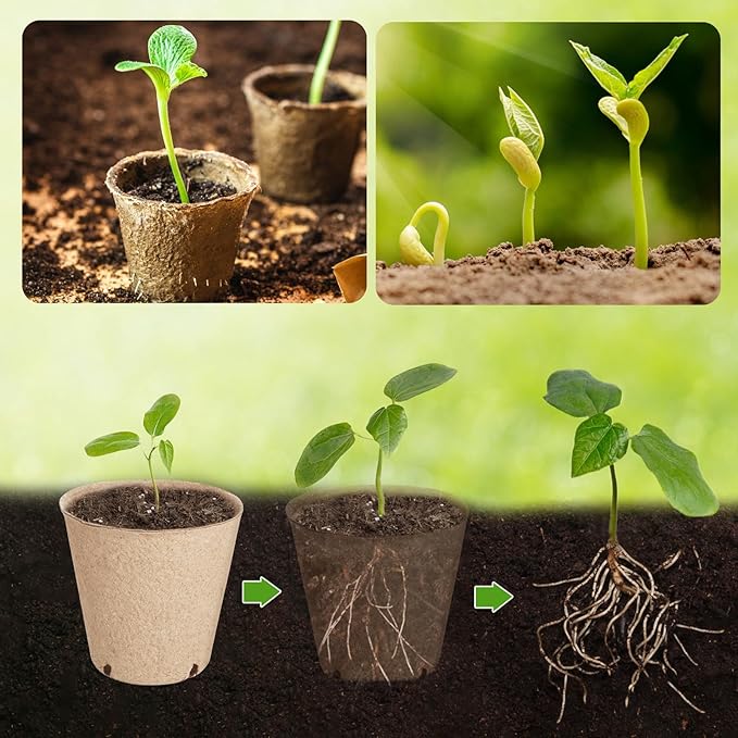131 Pcs Organic Peat Pots, 3.15 Inch Nursery Pot, Round Plant Seedling Pots with Drainage Holes, Small Seed Starting Starter Tray Bulk, Garden Germination Container with 131 Planting Labels