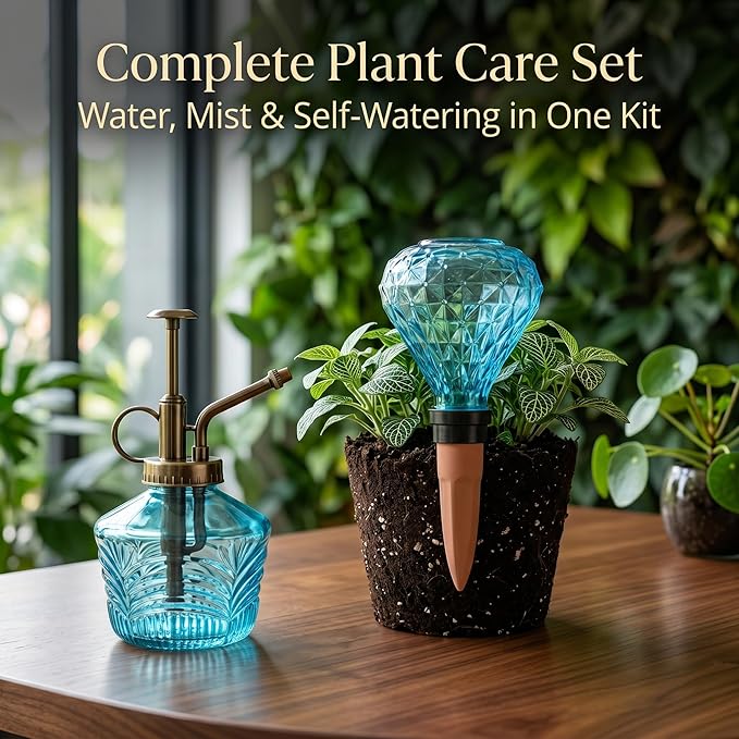 Glass Mini Watering Can & Self - Watering Globe Set - Flower Water Spray Bottle with Terracotta Spike, Perfect Plant Watering Gift for Indoor Outdoor Gardens