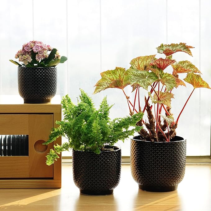 4 + 5 + 6 Inch Ceramic Pots for Indoor Plants, Succulents Plant Pots, Orchid Flower Pot with Drainage Hole, Modern Clay Stoneware Planters, Set of 3 (Black, 4+5+6 Inch)