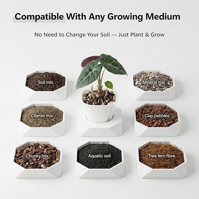 10 Pack 3 Inch Self Watering Pots for Indoor Plants, White Plastic Planters with Water Level Indicator, Drainage Holes & Wick, Small Plant Pots for Cuttings, Seedlings, Herbs, African Violets