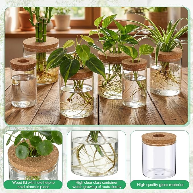 6 Pcs Glass Plant Propagation Stations (2 Large + 2 Medium + 2 Small) Hydroponic Flower Vases Desktop Plant Terrarium Jar for Cuttings, for Living Room, Bedroom, Home Decoration