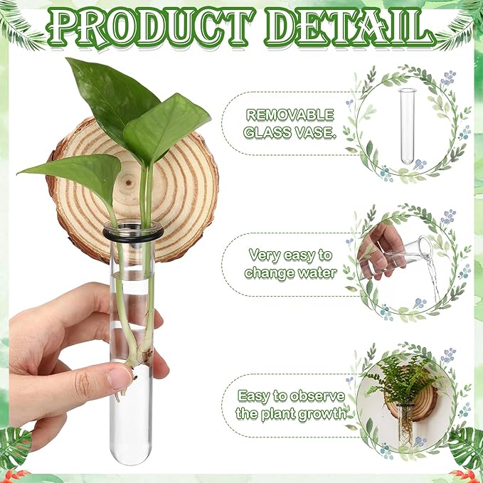 Chumia 6 Pcs Plant Propagation Stations Wall Hanging Planter Glass Plant Propagation Station, Natural Wood Slices Stand for Home Office Decoration