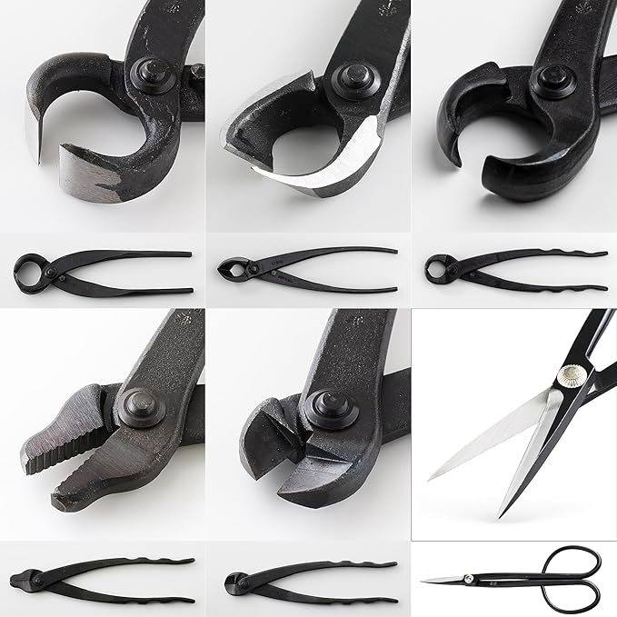 Wazakura Made in Japan 6PCS Bonsai Professional Tool Kit with Roll Bag: Yasugi Steel Twig Scissor, Concave Branch Cutter, Knob Cutter, Jin Plier, Wire Cutter, Root Cutter. Bonsai Tool Set with Case