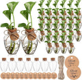 Baderke 24 Pack Big 10oz Plastic Plant Propagation Stations with Hole Lid Planter Vase Clear Propagation Jars with Thank You Tags for Plant Lover Gifts for Women Office Home Garden