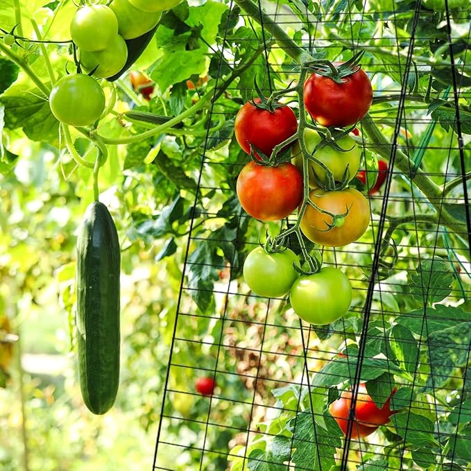 48" H x 34" L Cucumber Trellis for Garden A Frame, Garden Trellis for Climbing Plants Outdoor for Raised Bed(2 Packs)