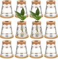Baderke 12 Packs Propagation Vases for Plants Plastic Plant Propagation with Hole Lid and Bamboo Stand Growing in Water Hydroponic Home Office Desktop Vase Decoration (Cute Style)