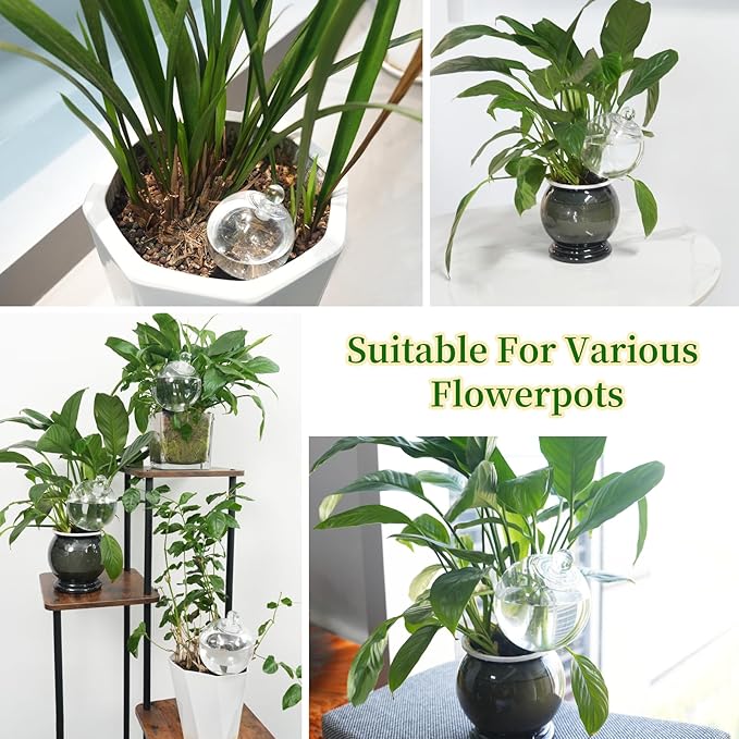 6pcs Plant Self Watering Globes with Covers, Plastic Water Bulbs Top Fill, Plant Watering Devices System Slow Release Terracotta, Water Spikes Stakes for Indoor (6)