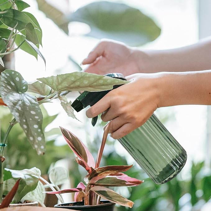 Green Glass Spray Bottle, Refillable Indoor Plant Mister,13.5oz Water Spray Bottle with Adjustable Nozzle,Plant Mister Spray Bottles for Indoor Plants, Cleaning, Hair Care, Pets Care(2pcs)