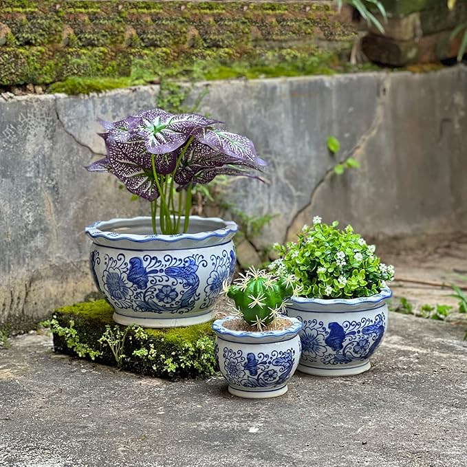 HakkaGirl Blue and White Planters, Succulent Pots Ceramic Plant Pots Indoor with Drainage for Home Décor - Set of 3