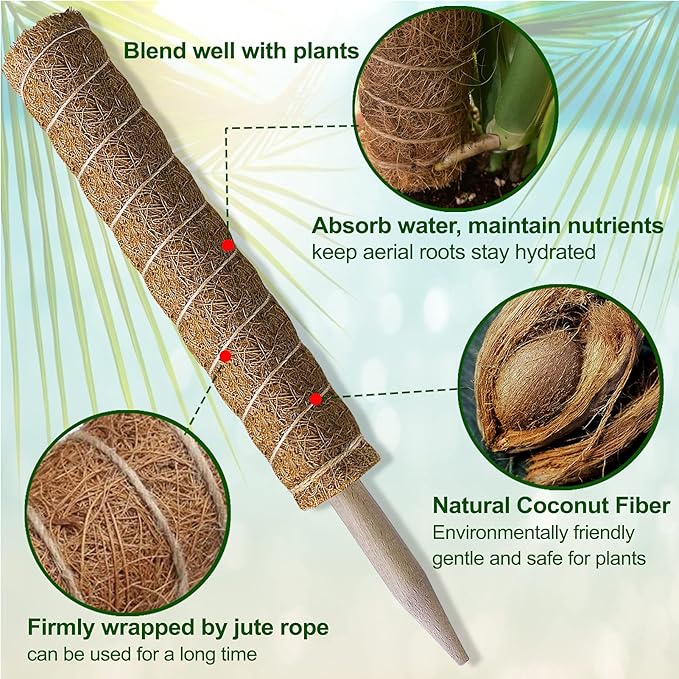 Fabulas Moss Pole 36 Inch - Monstera Plant Support, 2 Pack 20.5 Inch Plant Stakes for Indoor Plants Coco Coir Moss Pole Sticks for Climbing Potted Live Plants, Pothos, Philodendron, with Garden Ties
