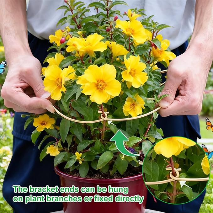 STARVAST 10PCS Durable Monstera Plant Stem Support Stake, Plant Support Kit for Indoor Botanicals, Cactus Stabilizers, and Turtle Shell Climbers - Ideal for Plant Enthusiasts(Gold)