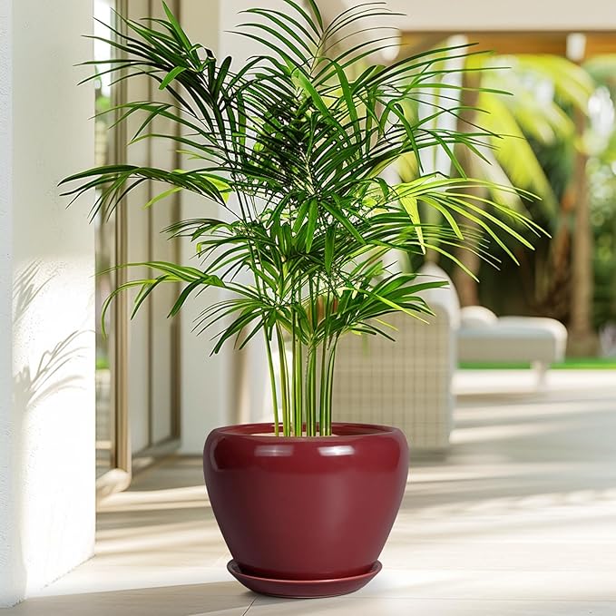 Ceramicfor Ceramic Planter - 8 Inch Plant Pot Indoor with Drainage Hole and Saucer Planter for Outdoor Plants Round Flower Pot for House Patio Decor Red