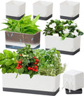 Self Watering Planters Pots for Indoor Plants, 7 Pack 4+8+17 Inch Plastic Window Boxes Planters Herb Planter, Rectangle Rectangular Planter Windowsill Planters with Drainage and Saucer