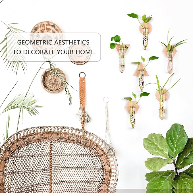 MITIME Wall Hanging Planter Glass Plant Propagation Station,Geometric Wooden Stand for Home Office Decoration.