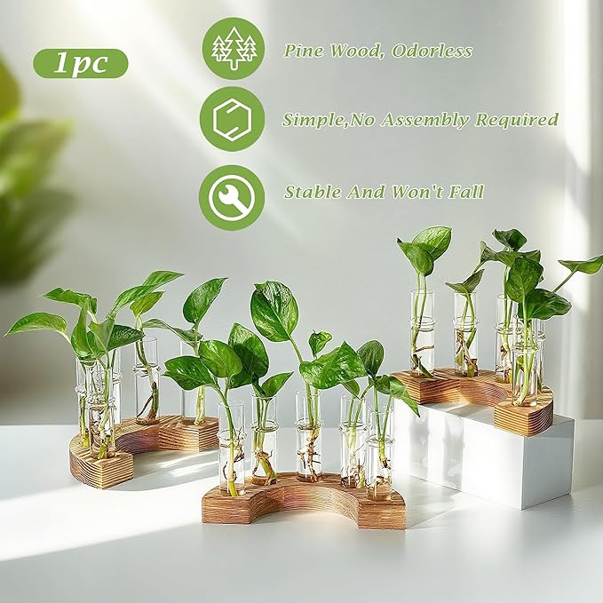 Plant Propagation Station with Wooden Stand, Glass Propagation Vase for Plants, Plant Terrarium Birthday Gifts for Women Mom Plants Lovers, Home Office Garden Decor, 5 Glass Tubes