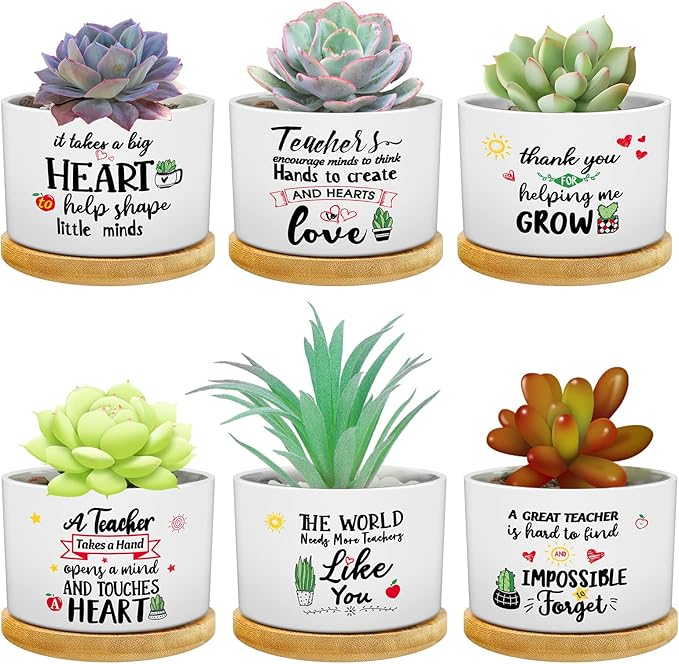 Potchen 6 Pcs Teacher Appreciation Gifts Funny Succulent Pots with Bamboo Tray End of Year Teacher Gifts Graduation Thank You Planter Accessories for Women, Coworker