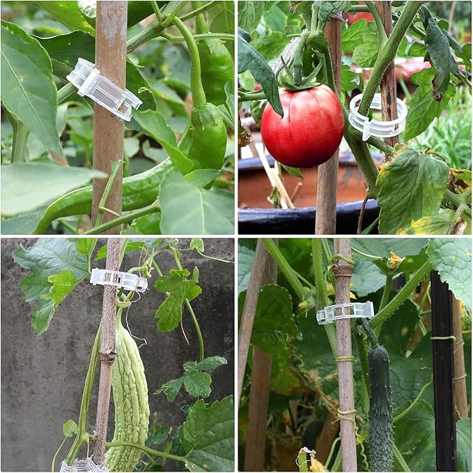 300Pcs Plant Support Clips Reusable Plastic Garden Clips Trellis Clips for Tomato Cucumber Vine Climbing Plants Indoor Outdoor Stem Support Monstera Pothos Orchid Clematis