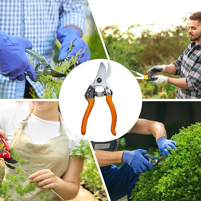 Pruning Shears – Stainless Steel Garden Scissors, Manual Hand Trimmer, Precision Cutting Tool | Curved Straight Tip Options, Spring Loaded Action, Easy Control Plant Care Solution for Flowers Vegetabl