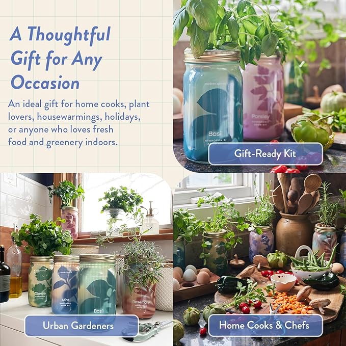 Modern Sprout Mason Garden Jar - Self-Watering Hydroponics Growing System Kit with Organic Herb Seeds - Jar Planter for Indoor Herb Garden - Seed Starter Kit - Home Decor & Gifting - Lavender