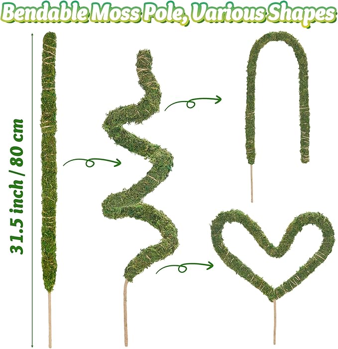 31Inch Moss Pole for Climbing Plants - Natural Moss with Sturdy Support Good Water Retention Performance for Indoor Plant Growth Stability