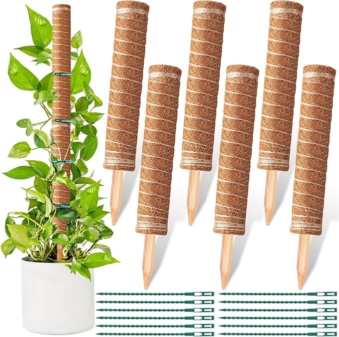 6-Piece 12-Inch Totem Poles with 12 Adjustable Plant Twist Ties - Coir Moss Stick for Creepers, Climbing Plants