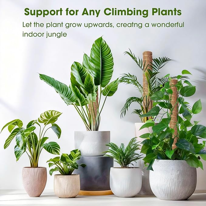 4 Pack 20 Inch Moss Poles, Stackable Moss Pole Monstera Plant Support, 66 Inch Tall Plant Stakes for Climbing Plants Indoor, Coir Plant Support Stick Stand for Potted Plants, Pothos, Philodendron