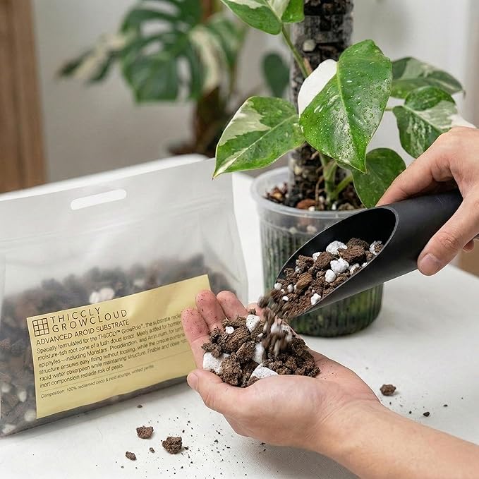 THICCLY GrowCloud Advanced Aroid Substrate with Perlite 3 Qts - Premium Sphagnum Moss Alternative GrowPoles