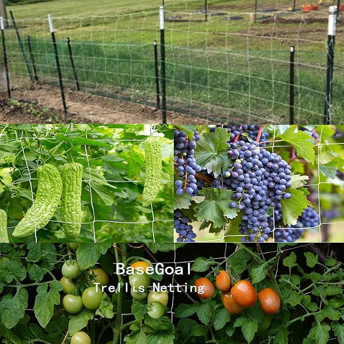 BaseGoal All-Weather Trellis Netting Mesh Plant Garden Vine Growing Flexible String Net
