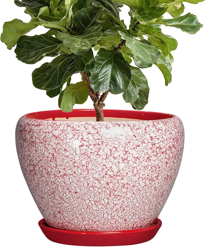 10 Inch Pots for Plants - Ceramic Planter Pots for Indoor Outdoor Plants, Decorative Planter with Drainage Hole and Saucer, Modern Flower Pot, House Decor, Plant Lover Gifts, Crackle Red