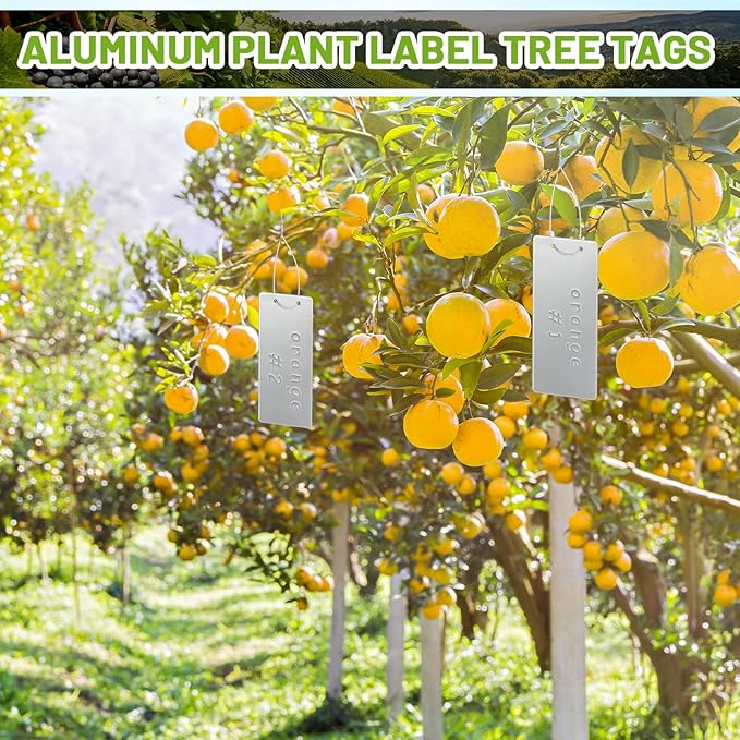 MorningRo 100 Pcs Aluminum Plant Labels Bulk 3.74 x 1.57 Inch Large Metal Plant Tags Double Sided Written Tree Tags Labels Markers with 100 Metal Wires for Outdoor Garden Identification and Greenhouse