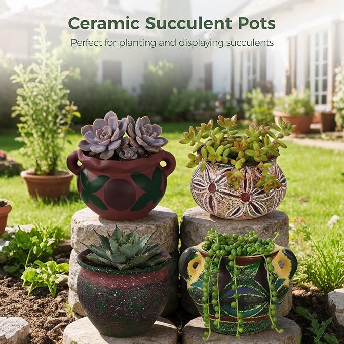 4 Pcs Ceramic Plant Pots, 5.1/4 / 5.2/3.9 in Small Succulent Pots with Drainage Hole, Decorative Flower Pots, Bohemian Style Indoor Pots Set for Home Decor