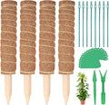 Kikhope Moss Pole Monstera Plants Support, 4 Pack 15.7 inch Coir Totem Poles, Plant Support Stakes, Plant Sticks, Coir Moss Stick for Indoor Potted Plants Train Creeper Plants Grow Upwards