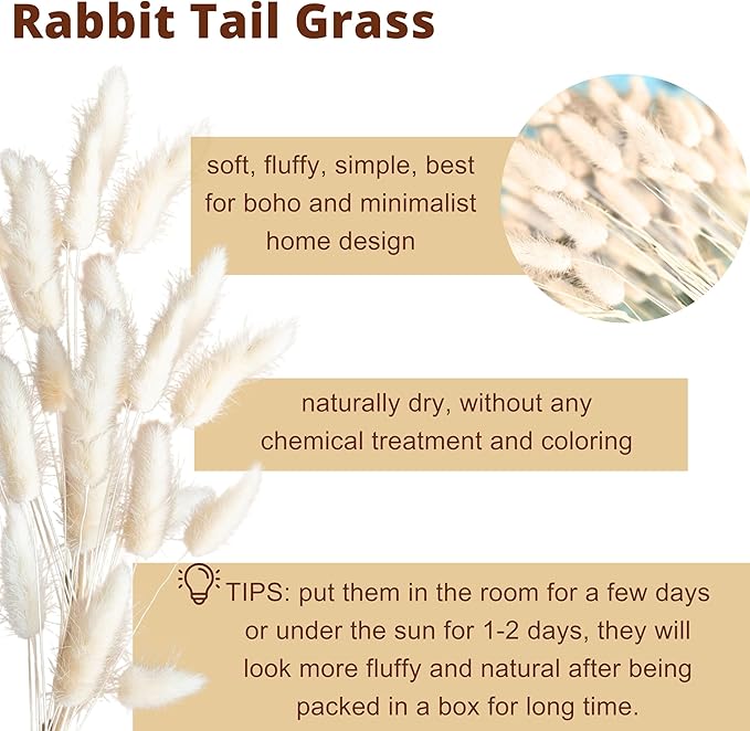 LaLaGreen Wood Wall Planters (8 Inch, 2 Pack) 150 Stalks Rabbit Tail Grass White Dried Flower Wooden Box Vase for Indoor Hanging Planter Modern Rustic Decor Home Living Room Bathroom Trendy Decoration