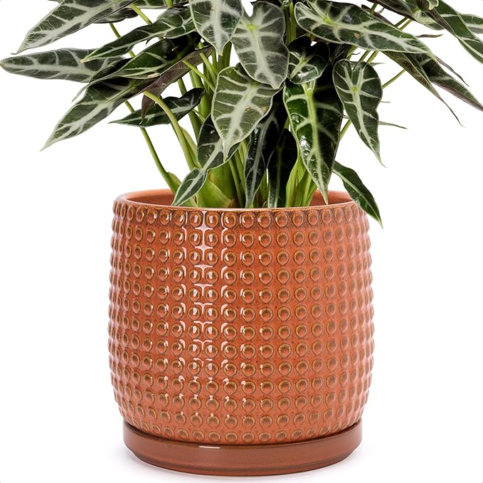 D'vine Dev 8 Inch Ceramic Beaded Stoneware Planter Pot - Flower Pot with Drainage Holes and Saucers for Indoor Succulent Plants or Flowers, Pumpkin, 27-C-Q-J