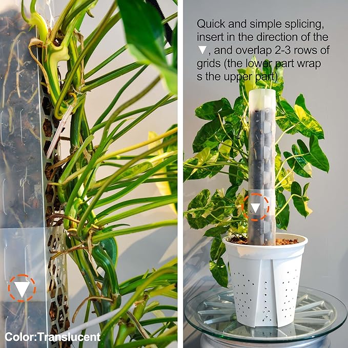 6 Pack Plastic Moss Pole for Monstera and Climbing Plants -Stackable Plant Support Stakes for Indoor Plants, Sphagnum Moss Compatible Poles for Aroid, Pothos, Philodendron