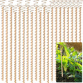 20pcs Electroculture Plant Stakes, 13.5'' Copper Coil Wire Antennas Garden Stakes, Tensor Rings Kit, Copper Rods Electronic Planting for Growing Vegetable Garden Plants Support Outdoor Indoor