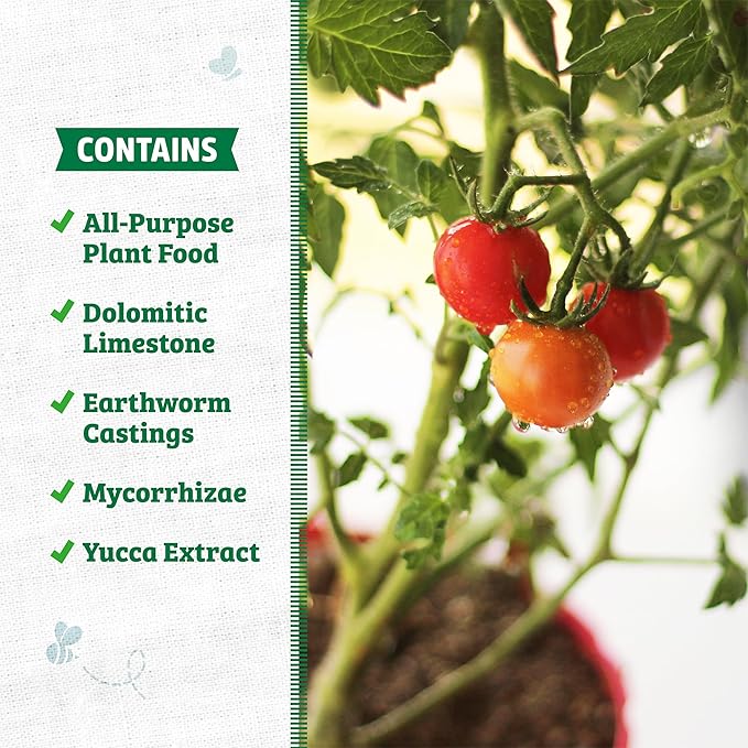 Back to the Roots All-Purpose Potting Mix 6 Quarts (Best Value), 100% Organic & USA Made for Herbs, Veggies, Flowers, w/Nutrient Rich Plant Food, Worm-Castings, & Moisture Controlling Yucca, 2 Packs