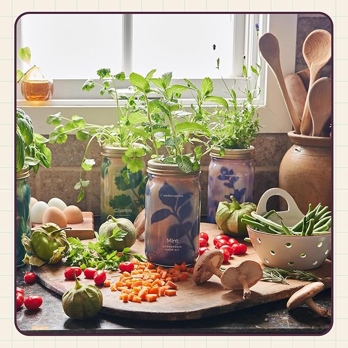 Modern Sprout Mason Garden Jar - Self-Watering Hydroponics Growing System Kit with Organic Herb Seeds - Jar Planter for Indoor Herb Garden - Seed Starter Kit - Home Decor & Gifting - Parsley