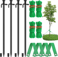 Fabulas Tree Stakes Kits, 4 Pcs 11.8 Inch Heavy Duty Steel Stakes and Supports for Leaning Young Trees Straightening with 4 Pcs Support Straps and 13.2ft Anchor Ropes, Against Strong Wind Bad Weather